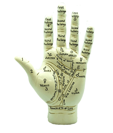 BIG Palmistry Hand